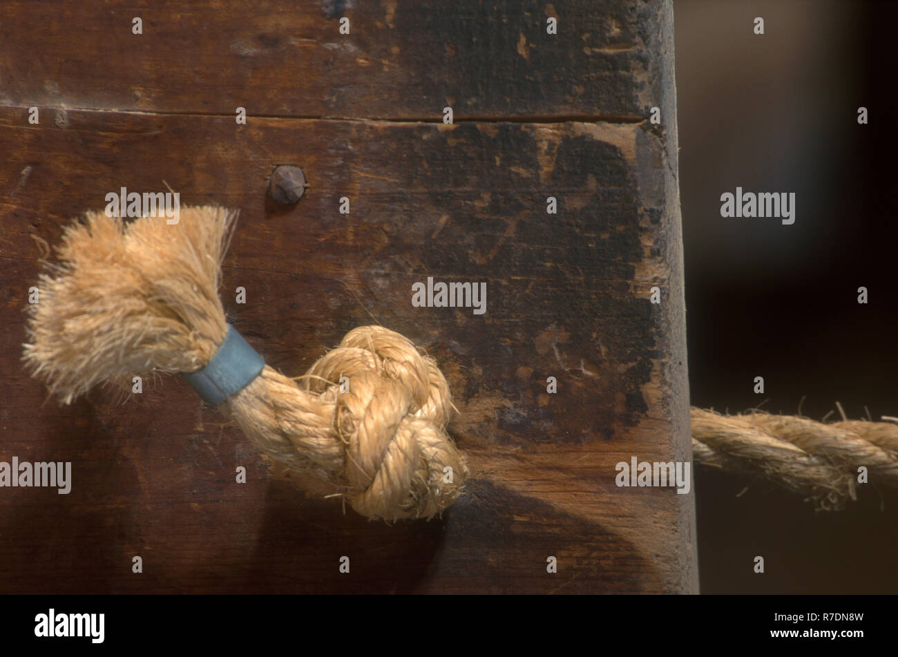 KNOTTED ROPE IN PIECE OF TIMBER Stock Photo