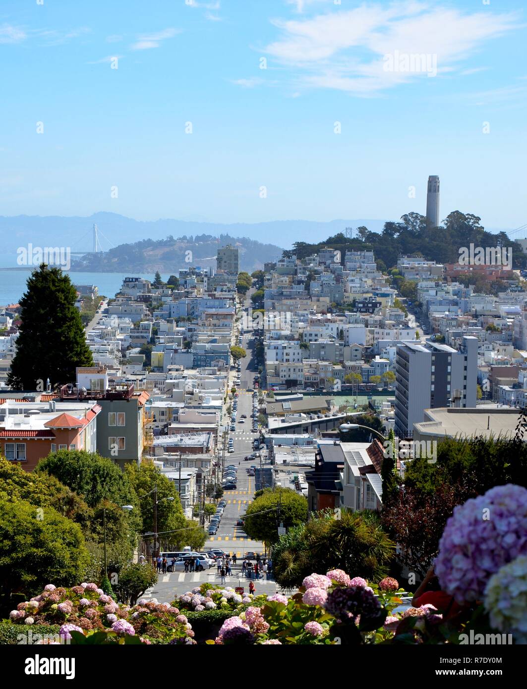 View from Lombard Street in San Francisco towards Telegraph Hill and Oakland Bay Bridge, urban, blue sky, sunny Stock Photo