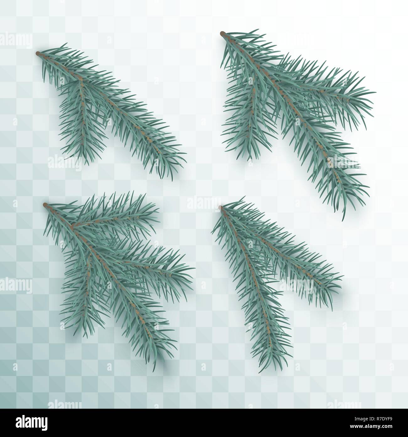 Conifer branches set. Green branches of a Christmas tree isolated on transparent background. Holiday decor element. Vector illustration Stock Vector