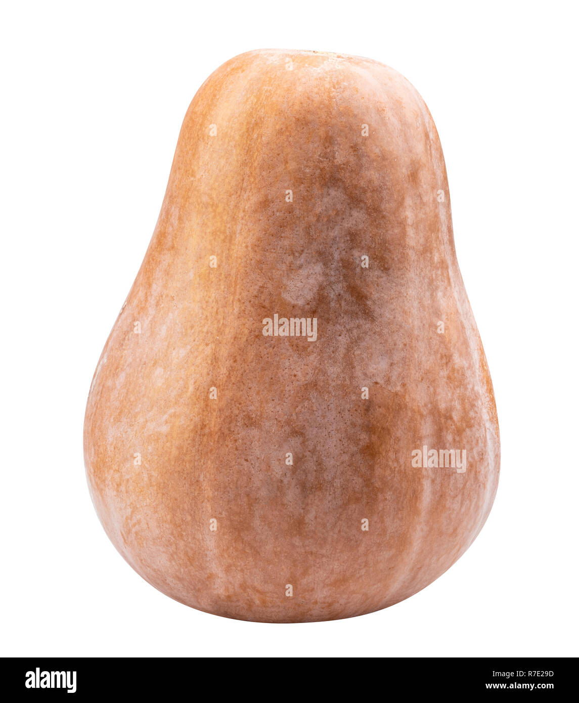Pumpkin isolated on white background. Clipping path Stock Photo