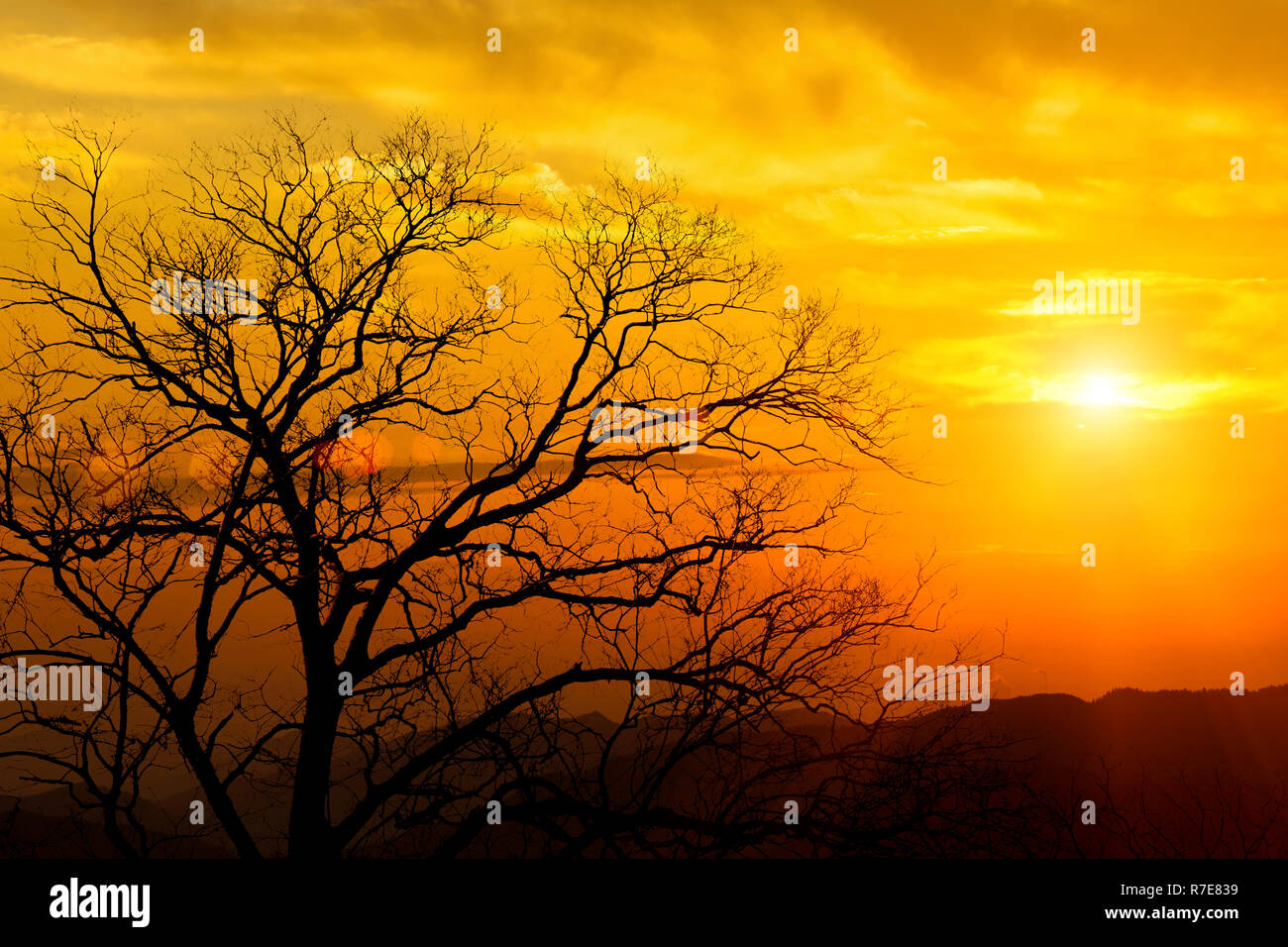 Mountains in the sunset Stock Photo - Alamy