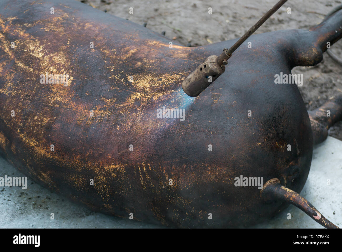 Flesh of pigs hires stock photography and images Alamy