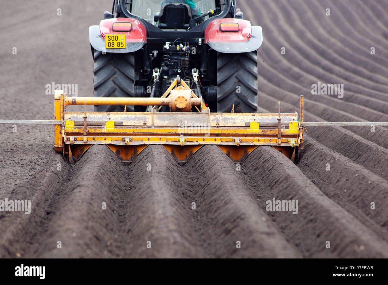 Potatoes planting, potato production, tractor rows Spring potato production Stock Photo
