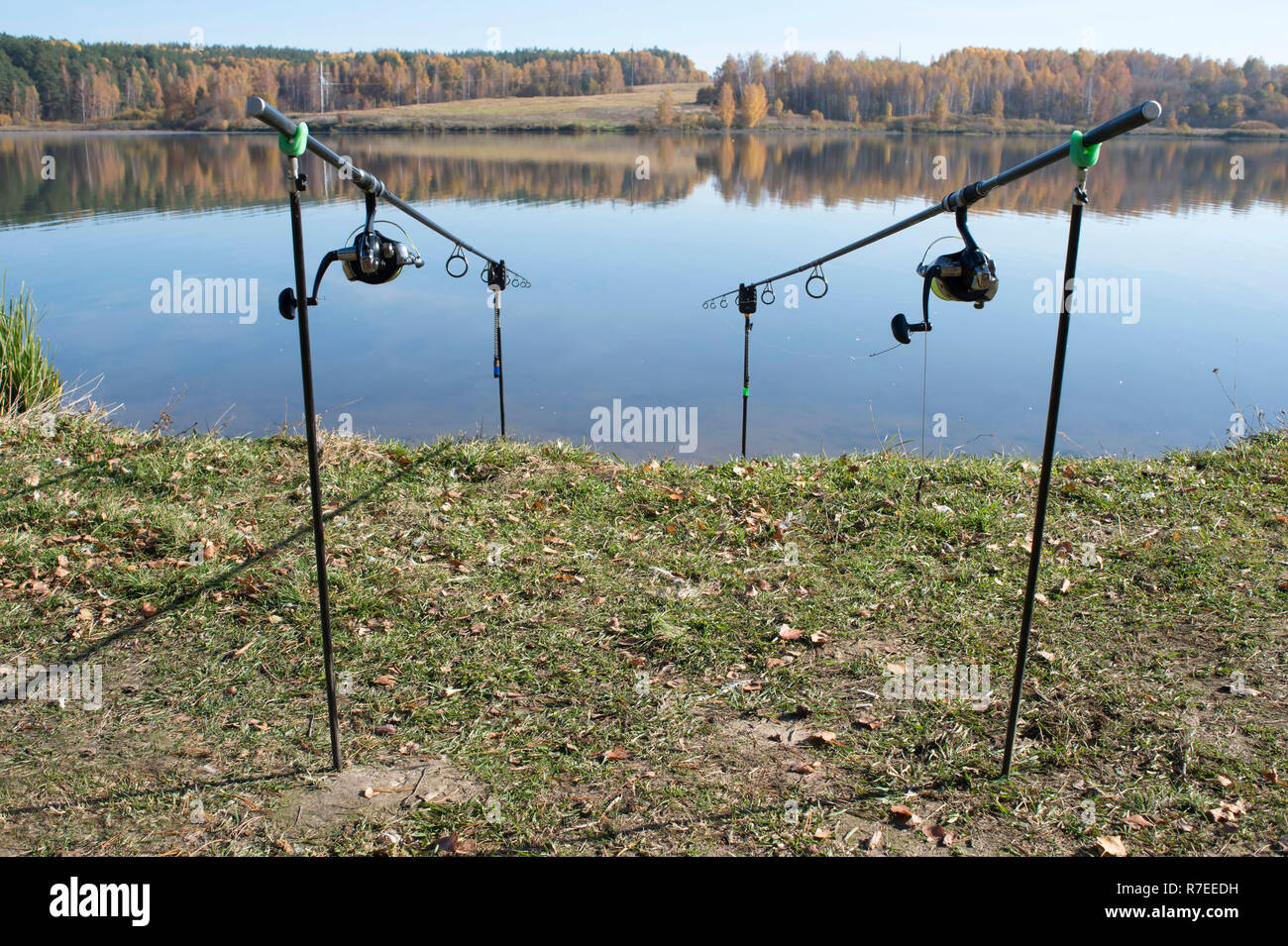 Two carp rods are installed on stands on the shore against the flat surface  of the lake. Background Stock Photo - Alamy