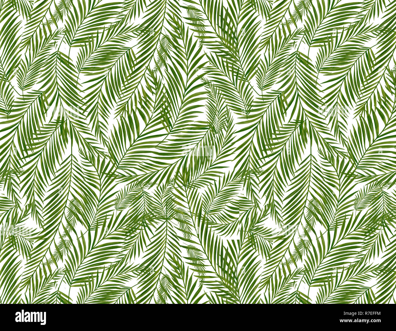 Tropical palm leaves, jungle leaf seamless floral pattern background ...