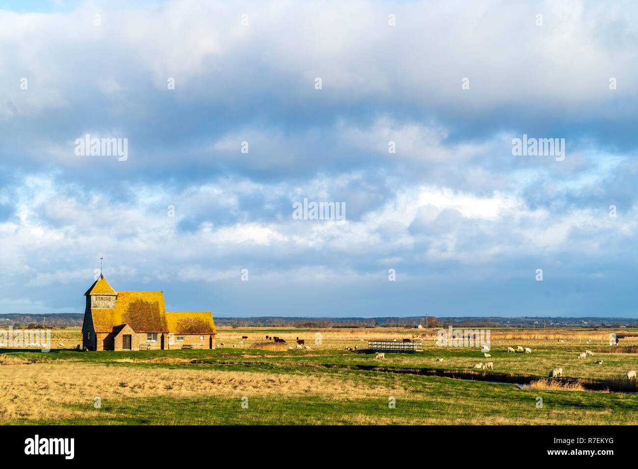 Romney Marsh with the old church on the Marsh, St Thomas Becket church. Distant shot, flat marshland with the church. sheep and drainage ditches. Sky cloudy and overcast but church lit by sunlight. Stock Photo