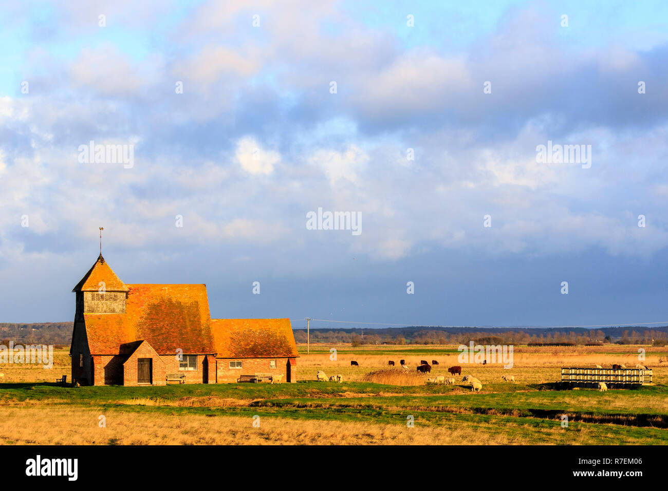 Romney Marsh with the old church on the Marsh, St Thomas Becket church. Distant shot, flat marshland with the church. sheep and drainage ditches. Sky cloudy and overcast but church lit by sunlight. Stock Photo