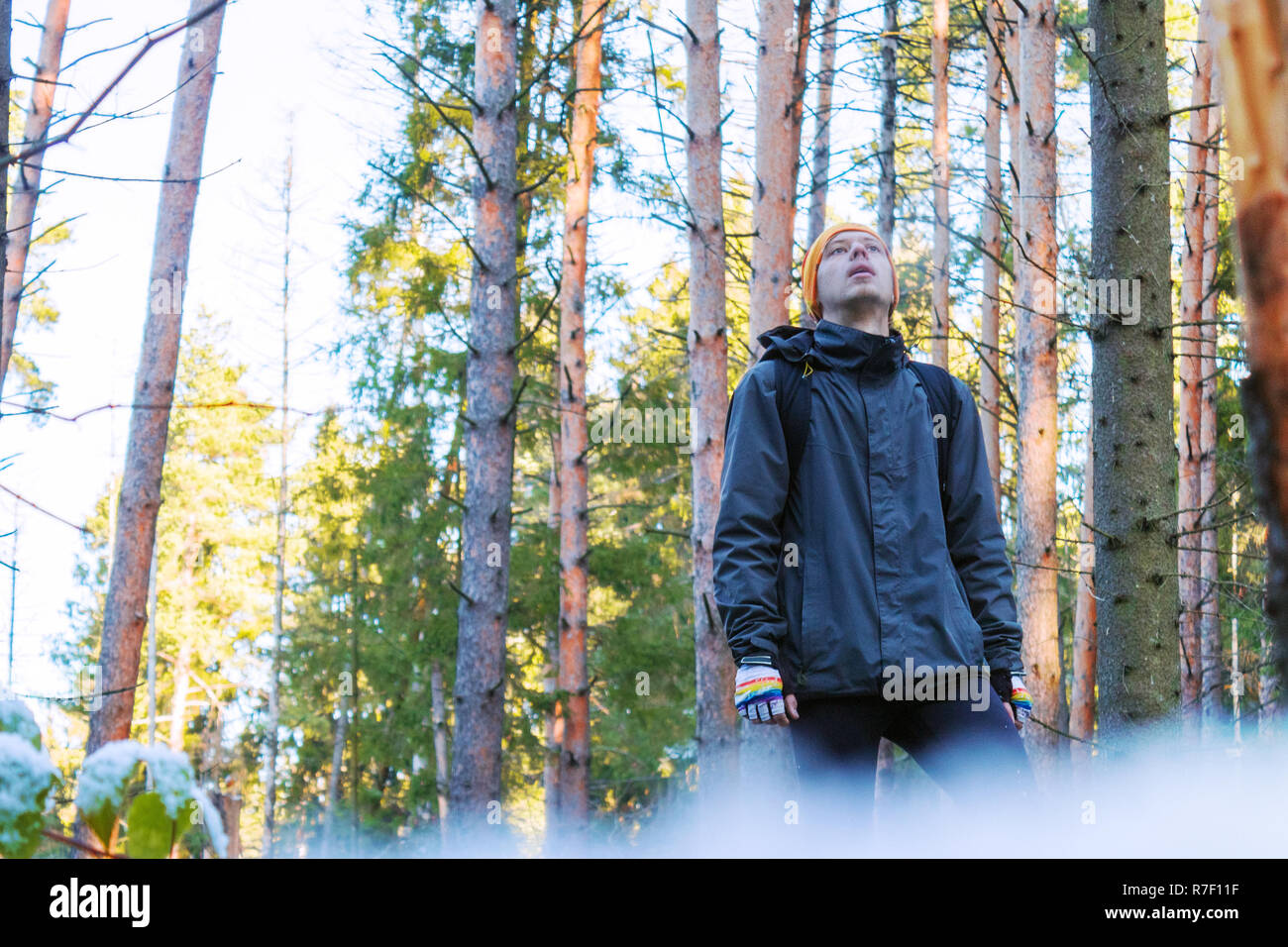 Traveler with a backpack in a pine forest Stock Photo