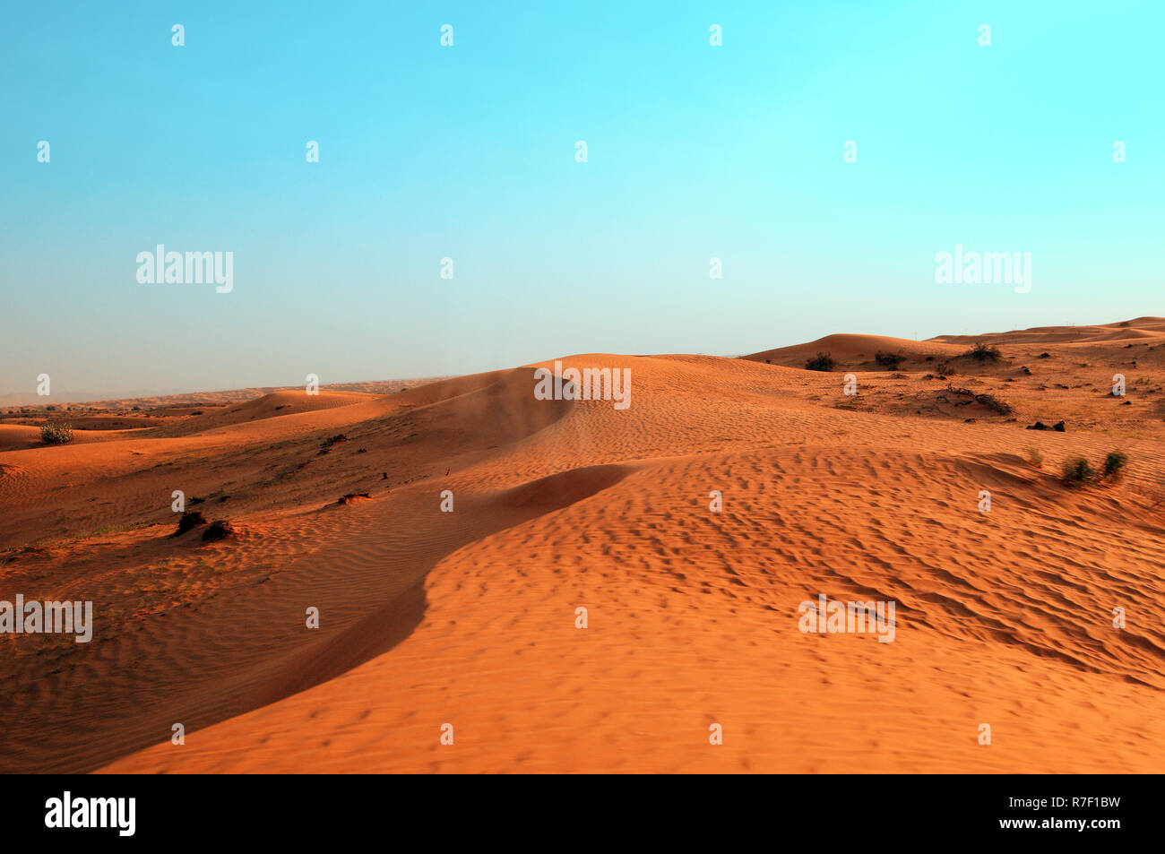 Desert, Emirate of Sharjah, United Arab Emirates Stock Photo