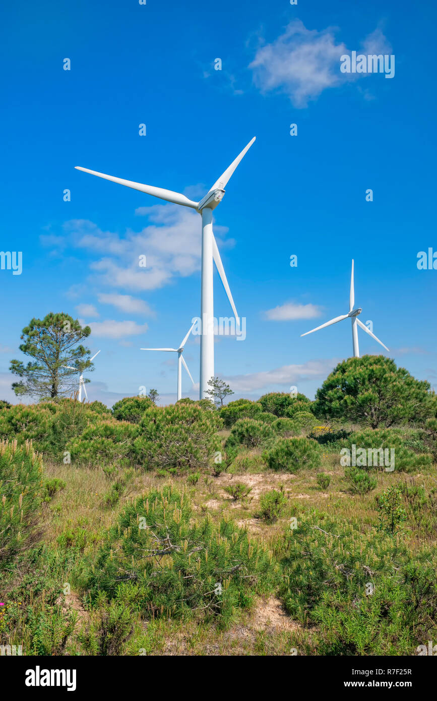 Wind turbines, Western Algarve, Portugal Stock Photo