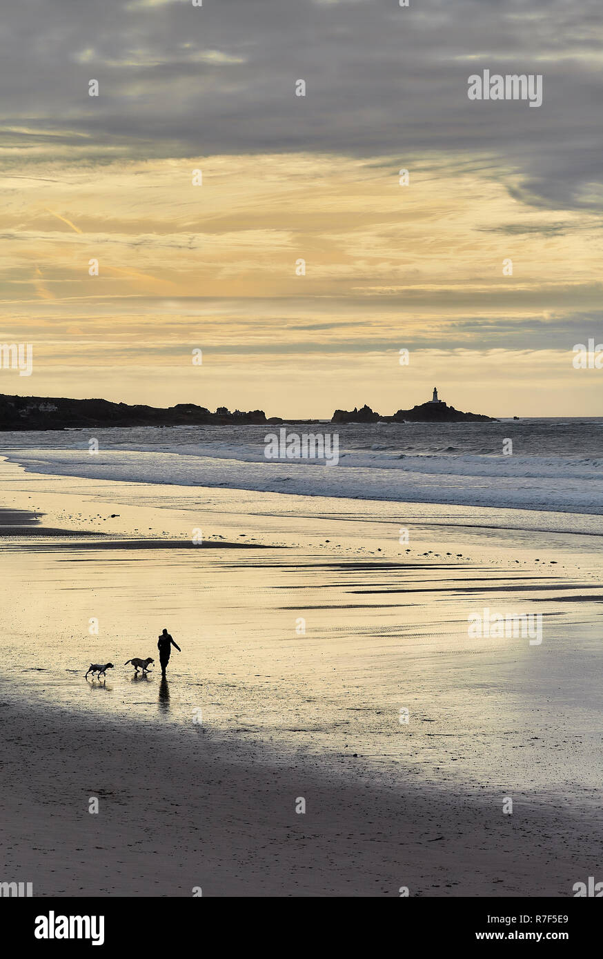 St Ouens Bay, Jersey - walking dogs. Stock Photo
