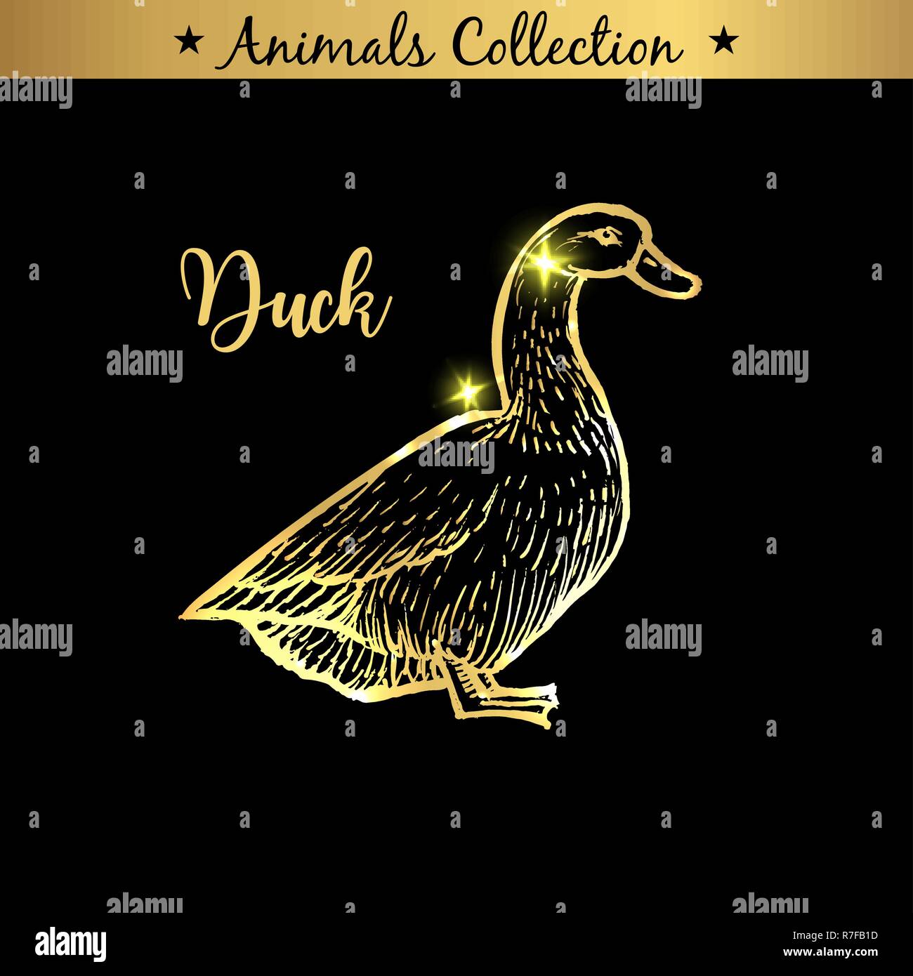 Drawing duck High Resolution Stock Photography and Images - Alamy