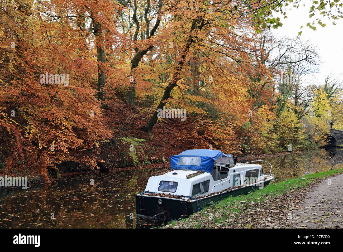 Autumn on the Marple flight of locks 6.11.18 A boat is moored alongside the towpath as the leaves on the trees have changed to orange and gold. Stock Photo