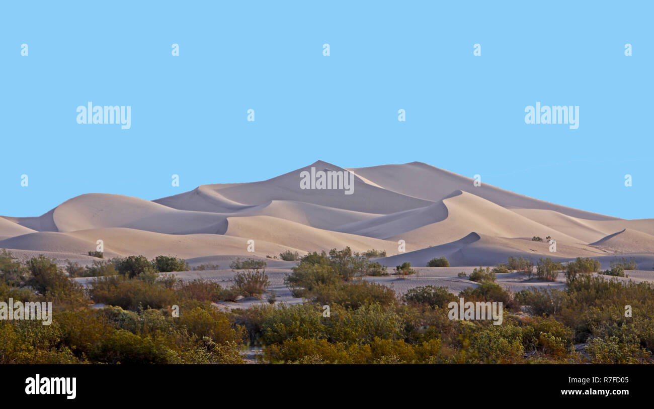 sand dunes in background with green desert vegetation in foregrond Stock Photo