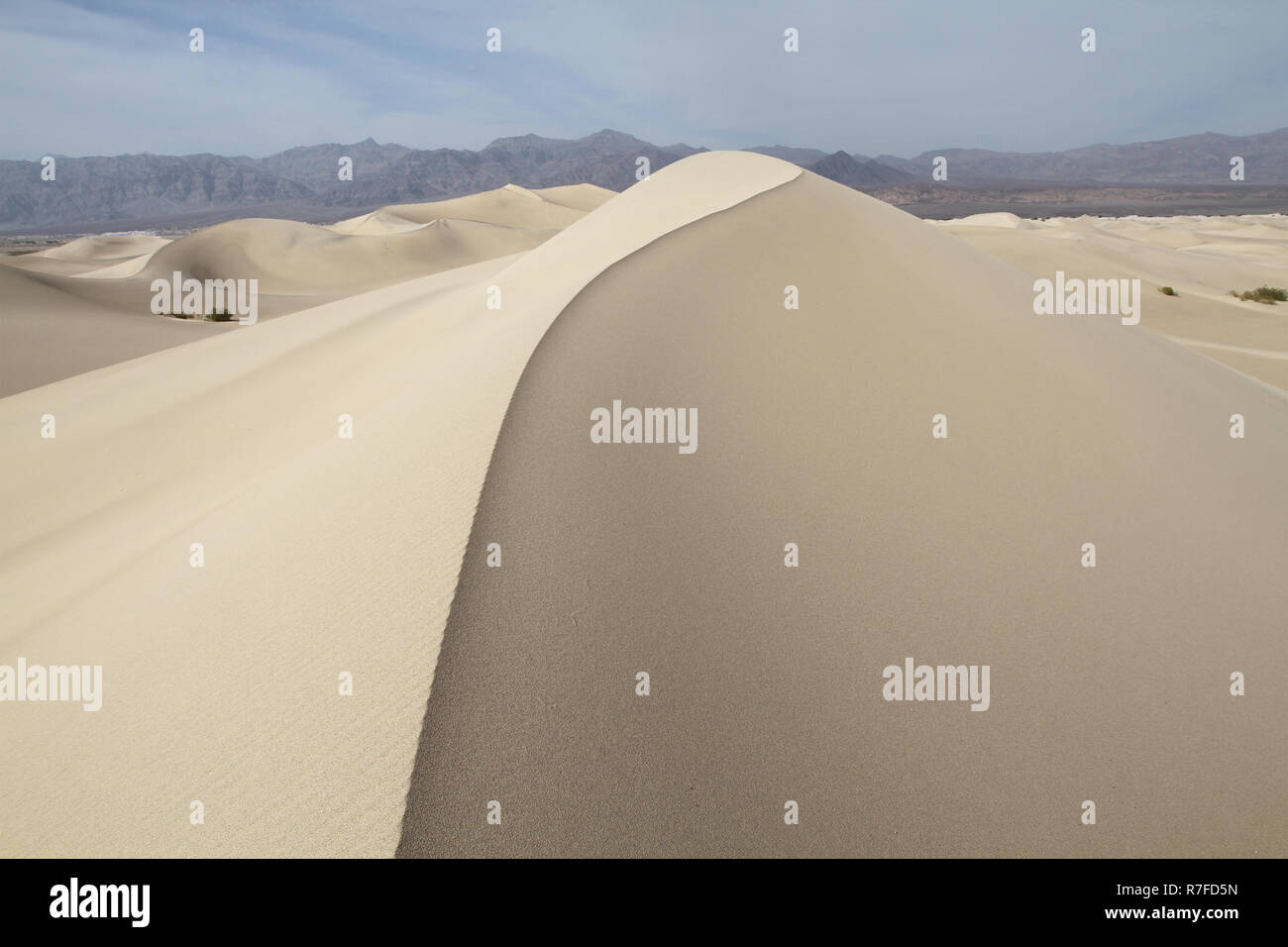 Wind blown patterned sand ridge among sand dunes Stock Photo