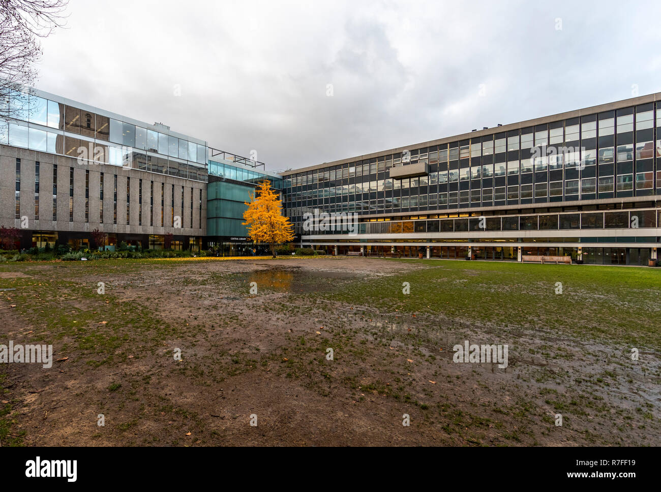 Imperial College London London Central Library South Kensington Campus South Kensington Sw7 2az With Autumn Tree Stock Photo Alamy