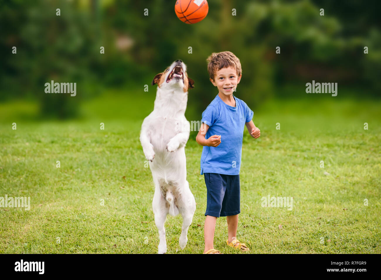 Two friends boy kid and his dog playing with basketball ball at backyard lawn Stock Photo