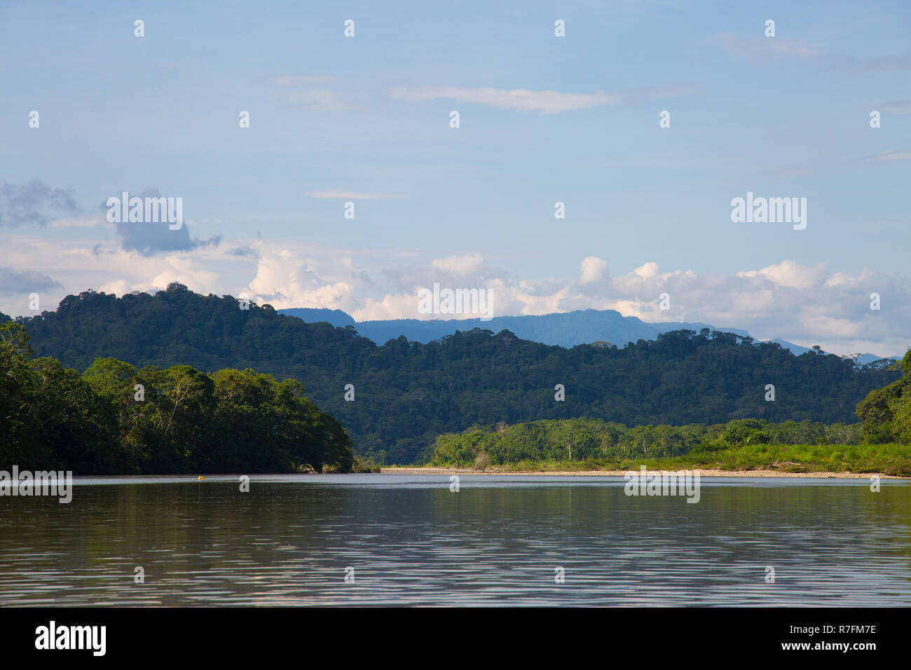 River flowing through the Amazon jungle, Ecuador, 2018 Stock Photo