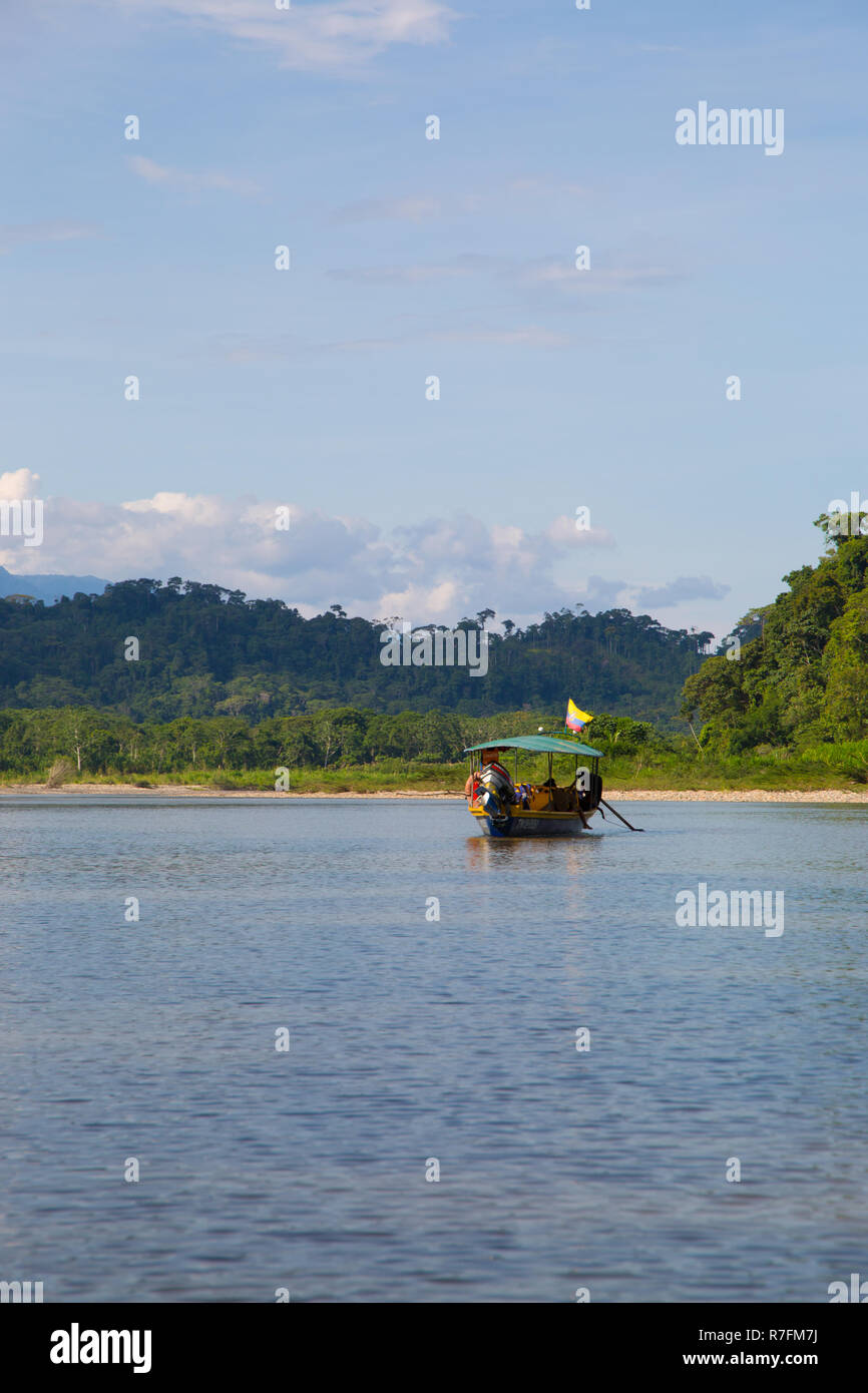 River flowing through the Amazon jungle, Ecuador, 2018 Stock Photo - Alamy