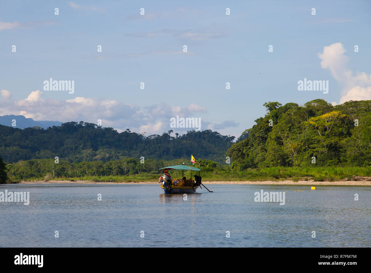 River flowing through the Amazon jungle, Ecuador, 2018 Stock Photo