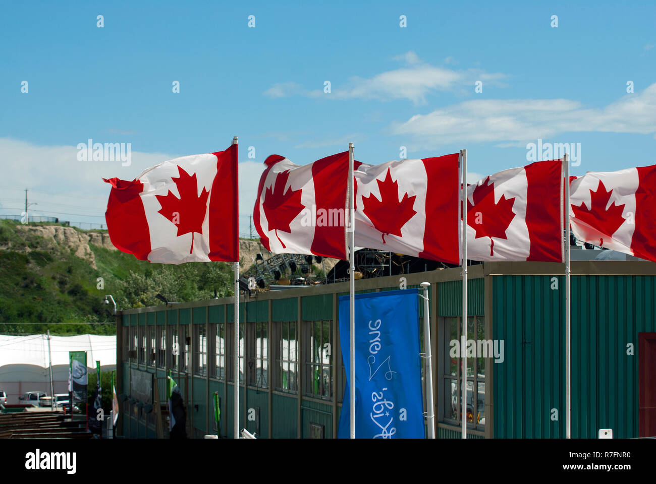 Canadian flags in Calgary, Alberta, Canada Stock Photo Alamy