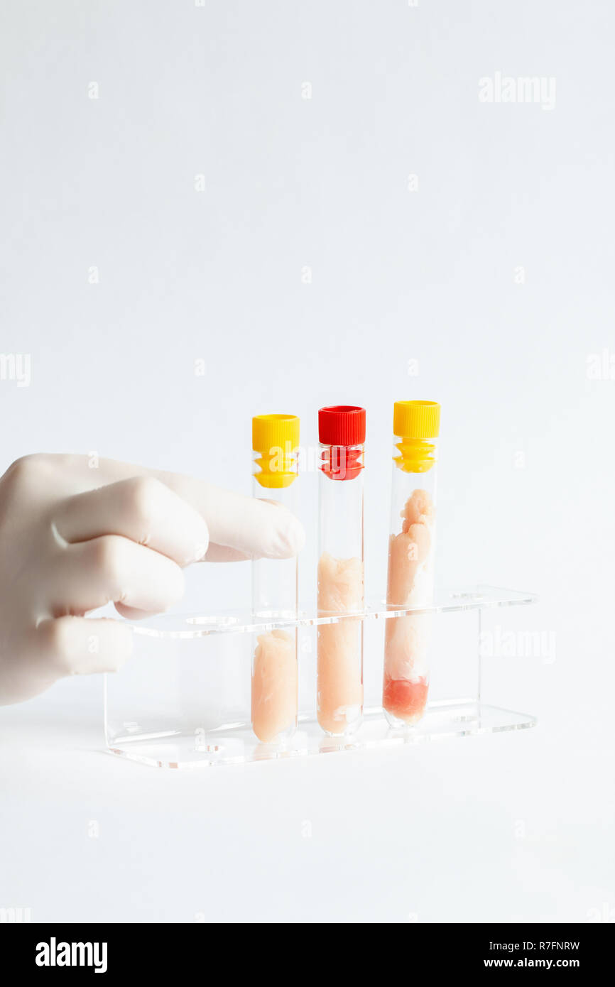 Meat in vitro / Cultured in test tubes. Stock Photo