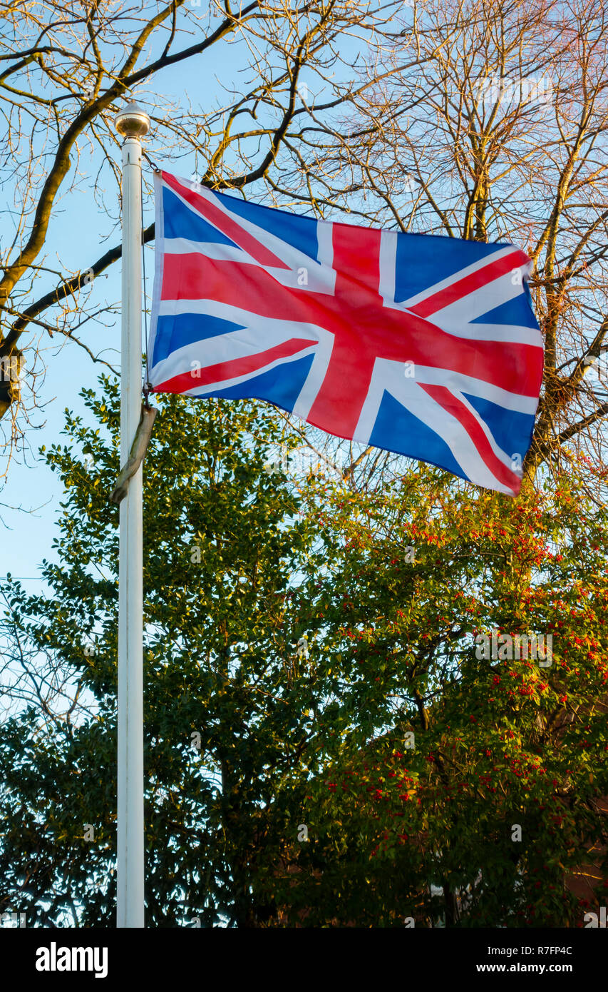 Union Flag on a flagpole in front of trees Stock Photo