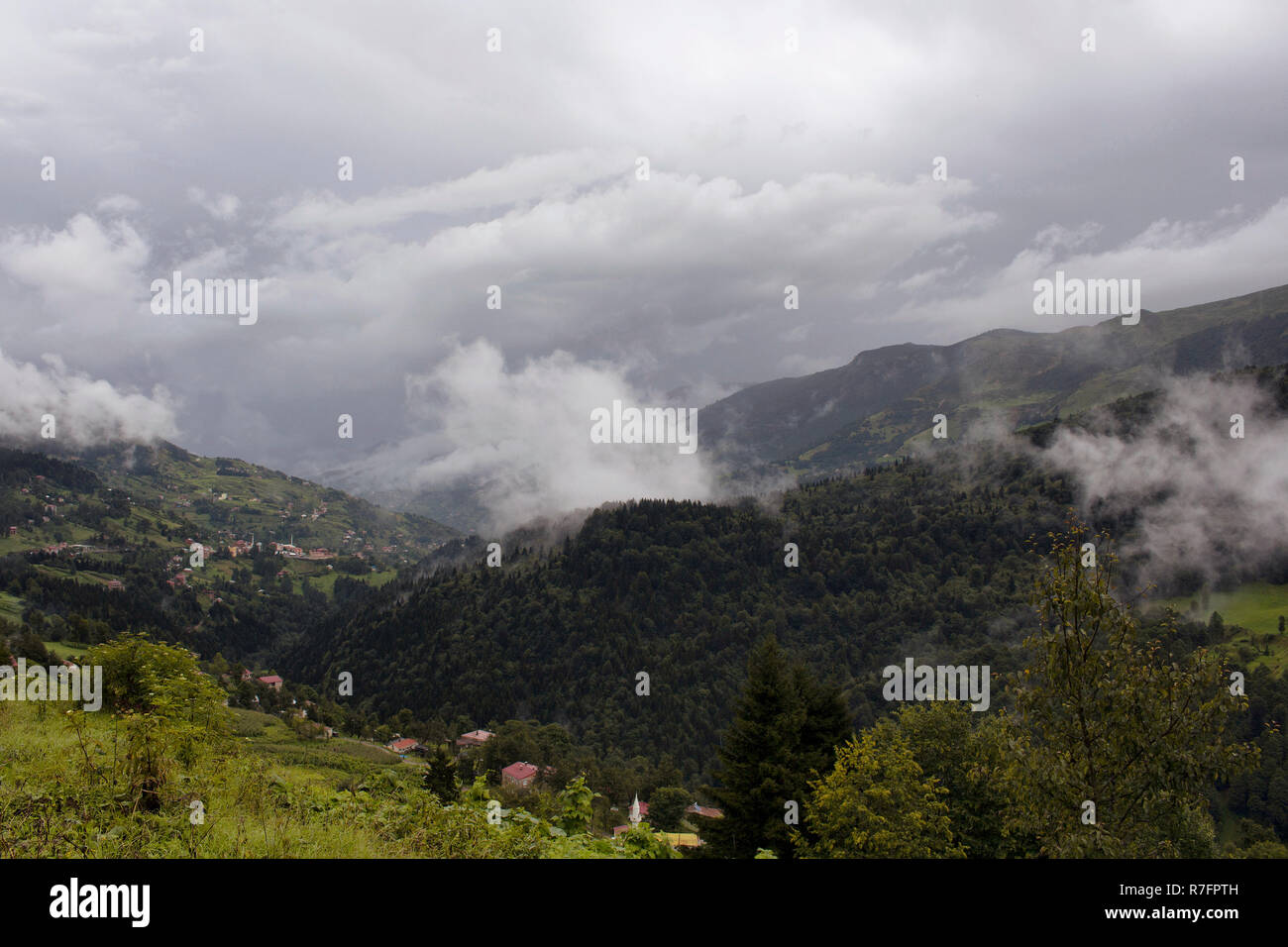 View of forest trees, mountains, valley and beautiful nature in fog. The image is captured in Trabzon/Rize area of Black Sea region located at northea Stock Photo