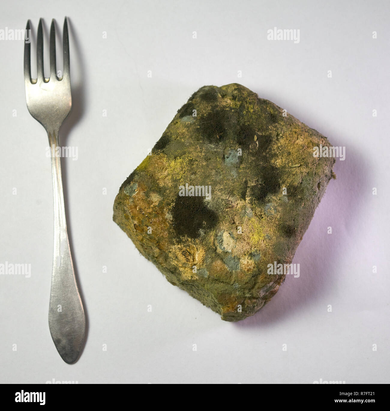 Moldy bread. Bread with black mold and fork on the table. Stock Photo