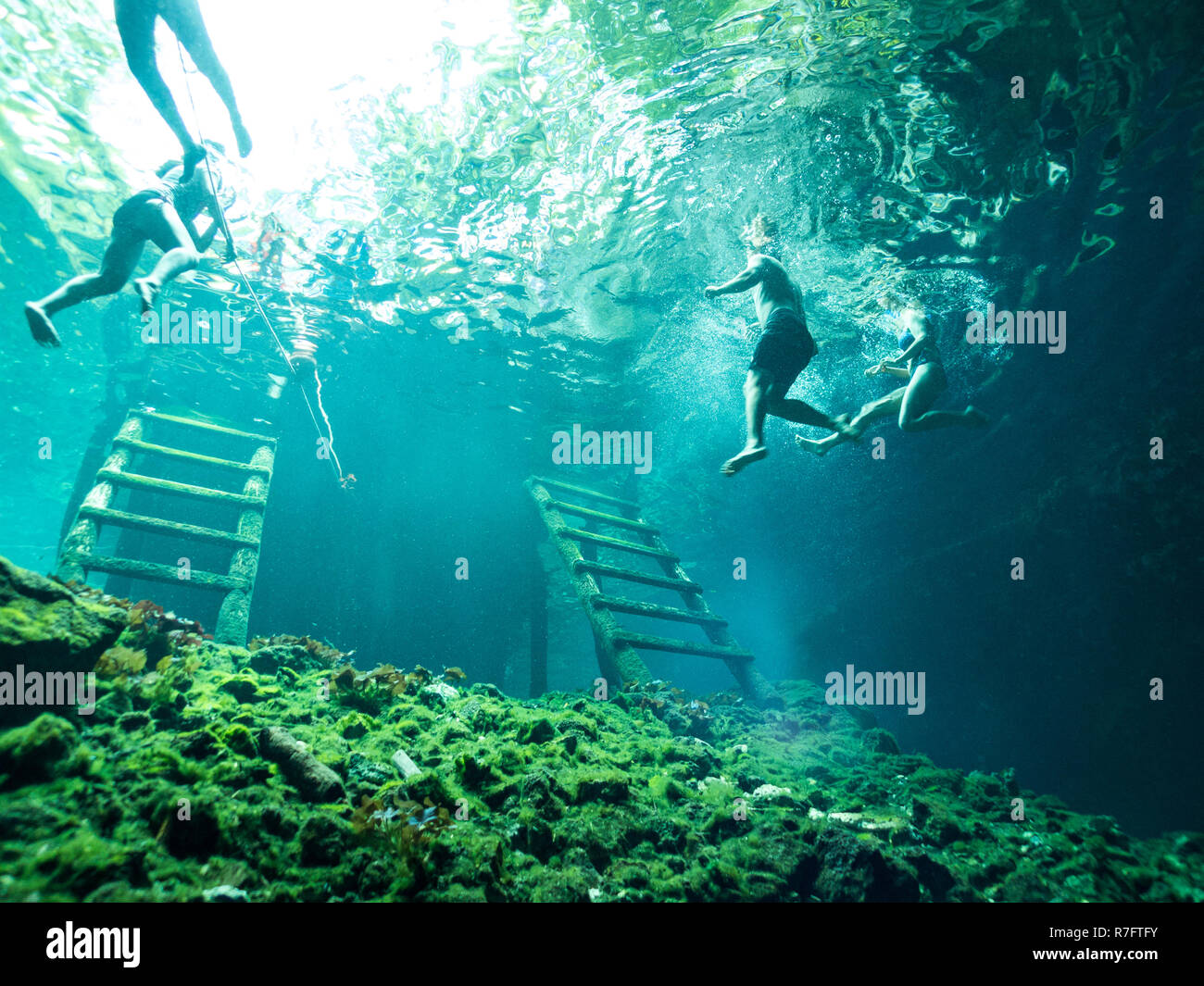 Tourists Snorkeling and Swimming in Gran Cenote - Tulum, Mexico. Underwater Tourism Photo Stock Photo