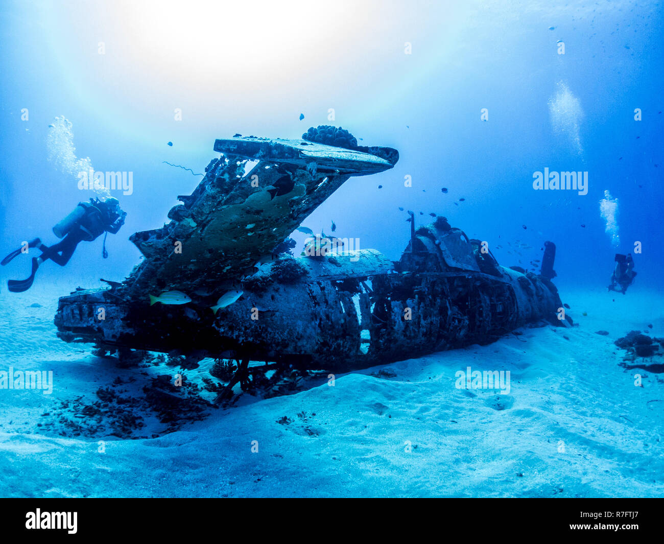 Corsair plane Wreck from World War 2 - Scuba diving in Oahu, Hawaii Stock Photo