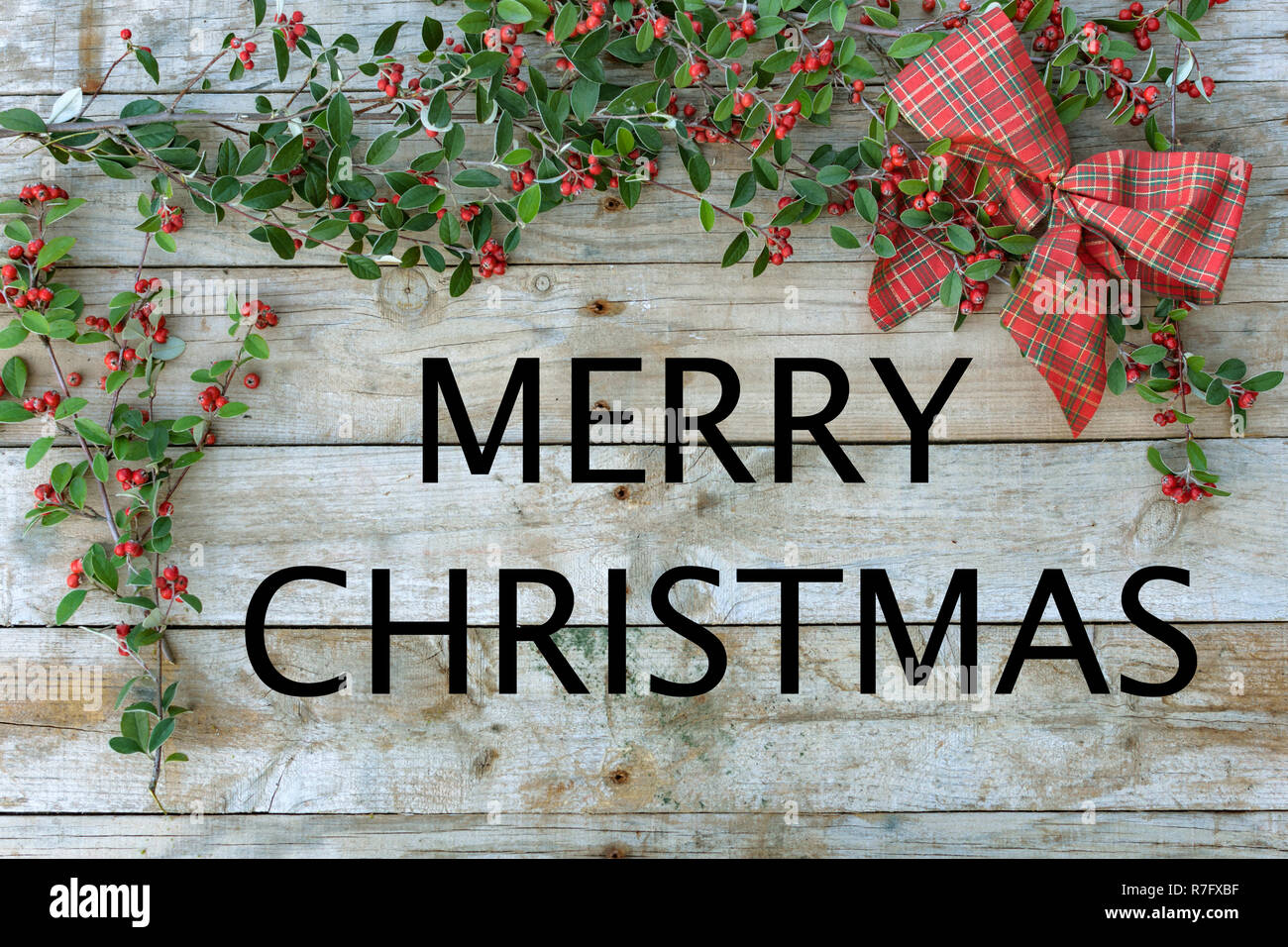Christmas wallpaper, greetings card. Green foliage with berries with a red checked tie on wooden panel. "Merry Christmas" Stock Photo