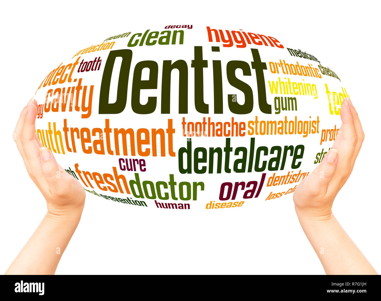 Dentist word cloud hand sphere concept on white background. Stock Photo