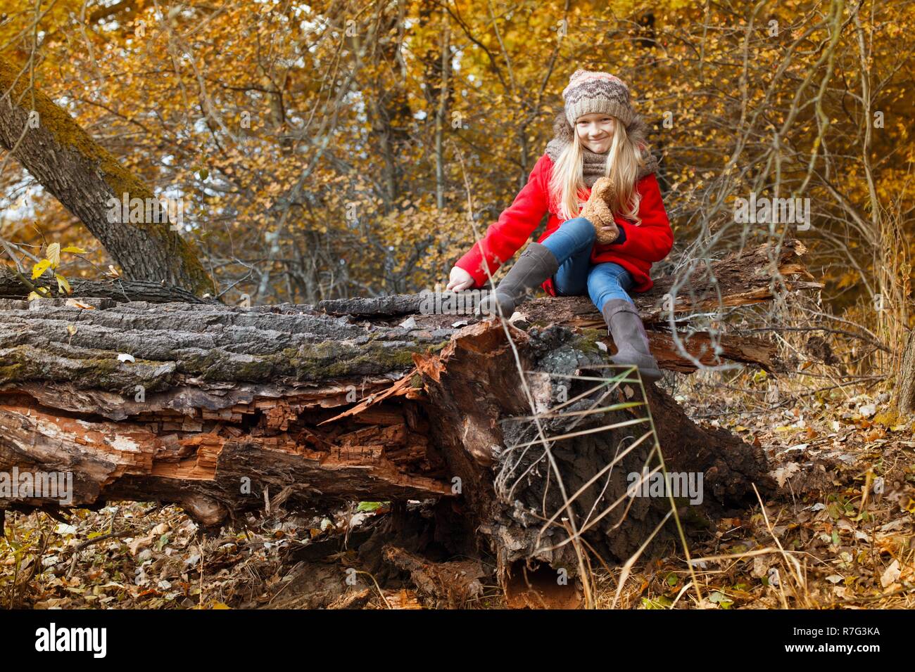 beautiful little girl in the autumn forest Stock Photo - Alamy