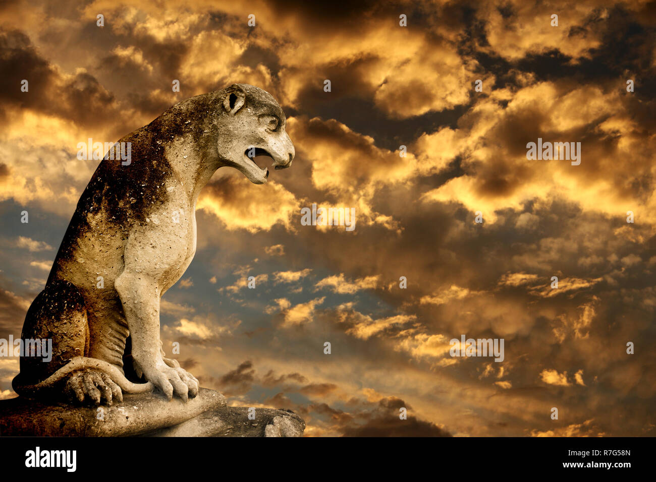 Sunbeam lion hi-res stock photography and images - Alamy