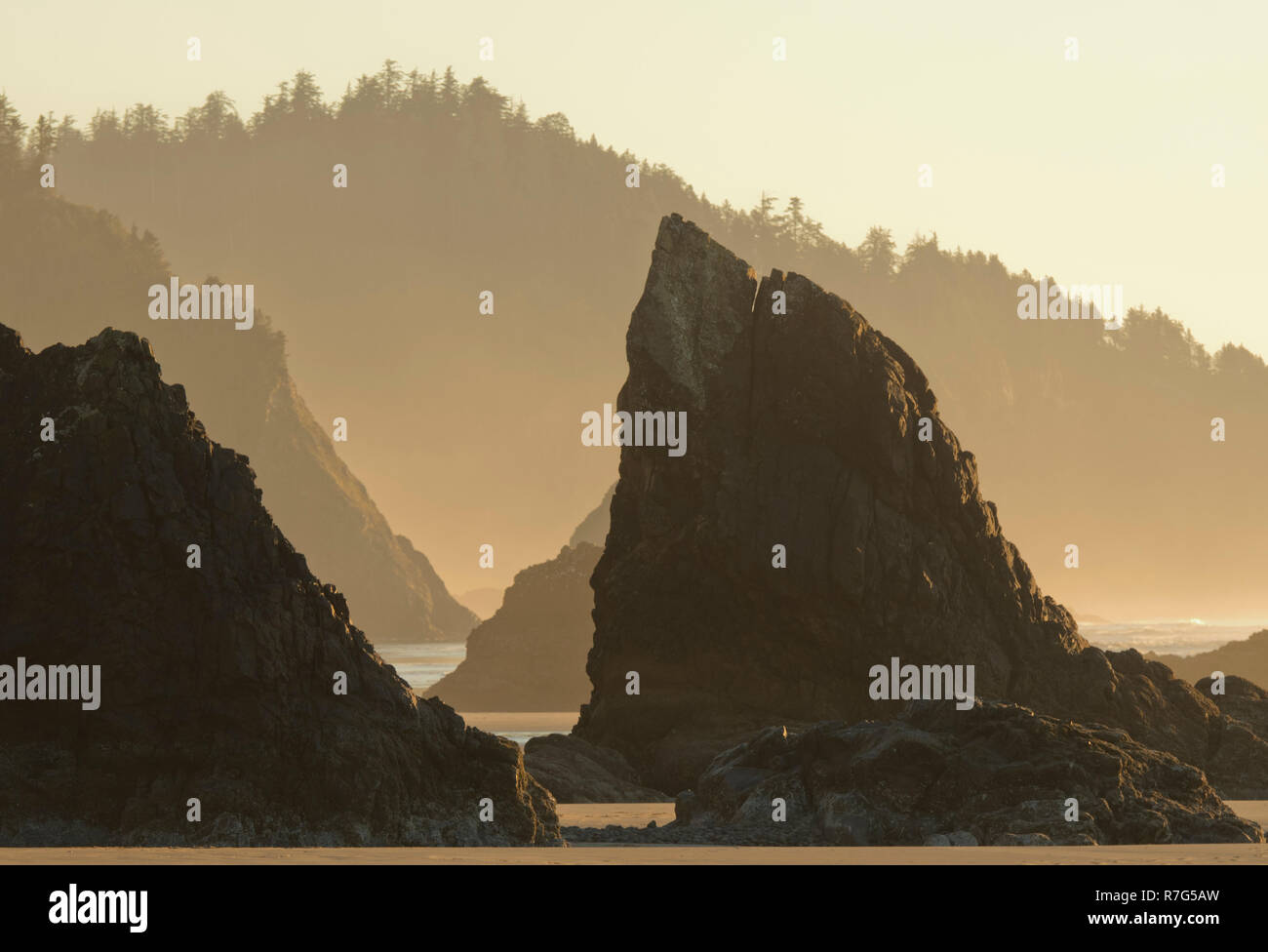 Rocks and rugged coastline, Oregon Coast Stock Photo