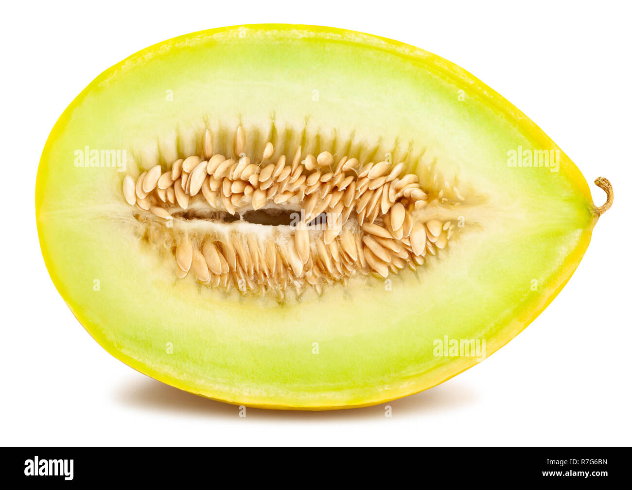 ARCHAEOLOGY OF FRUITS & VEGETABLES - Honeydew Melon (Casaba