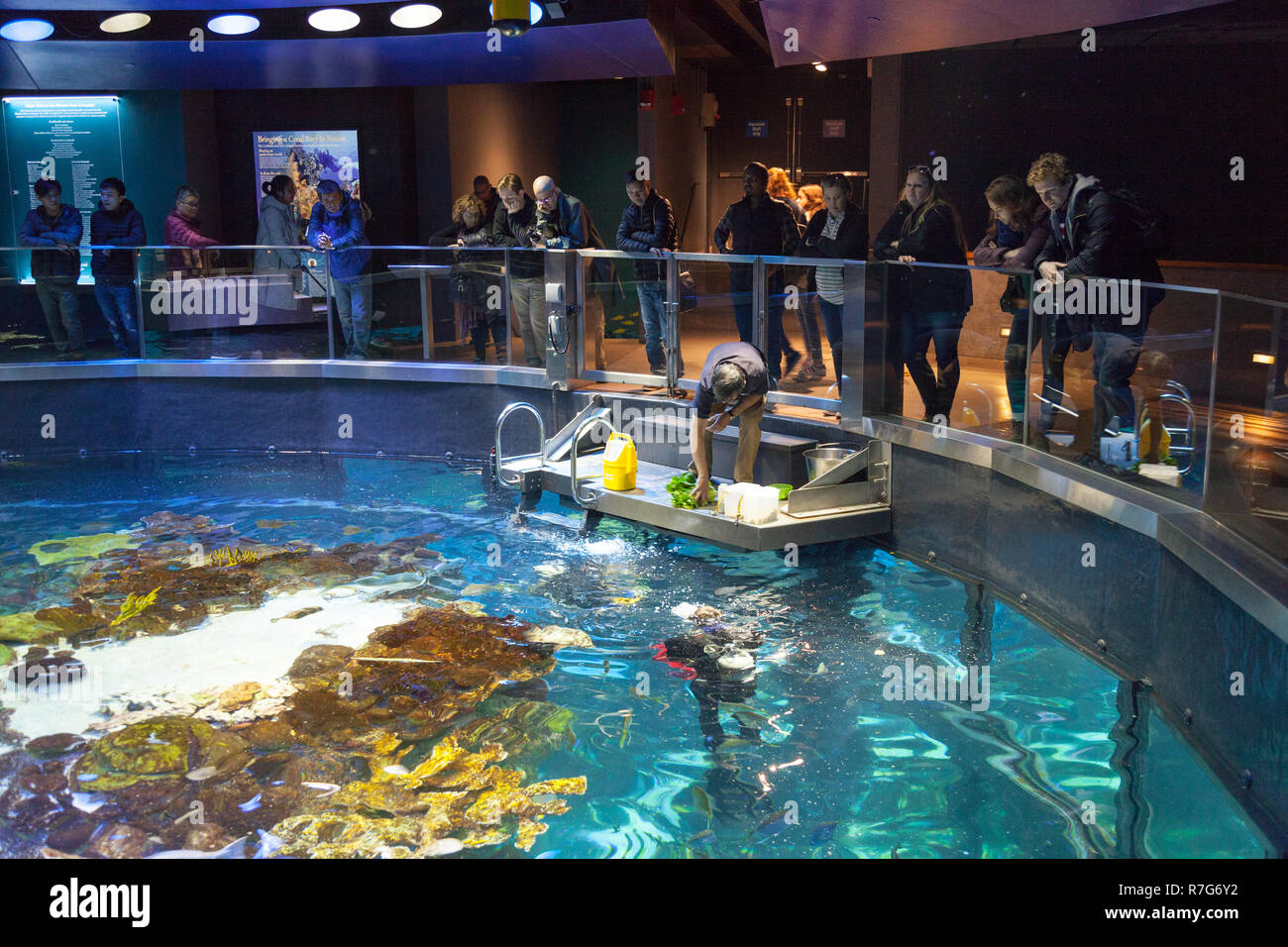 New England Aquarium, Boston ,Massachusetts, United States of America