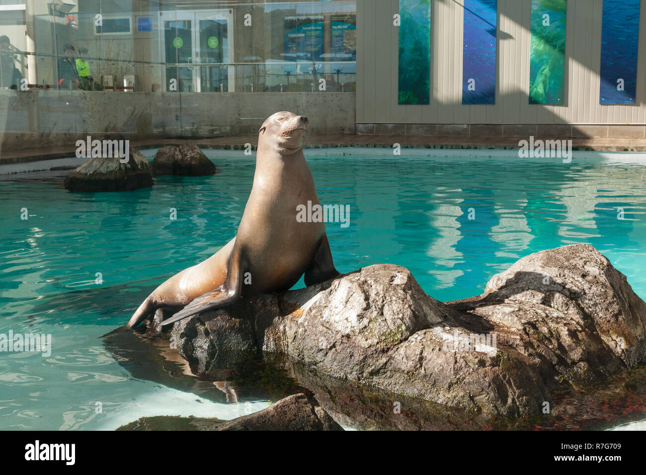New England Aquarium, Boston ,Massachusetts, United States of America