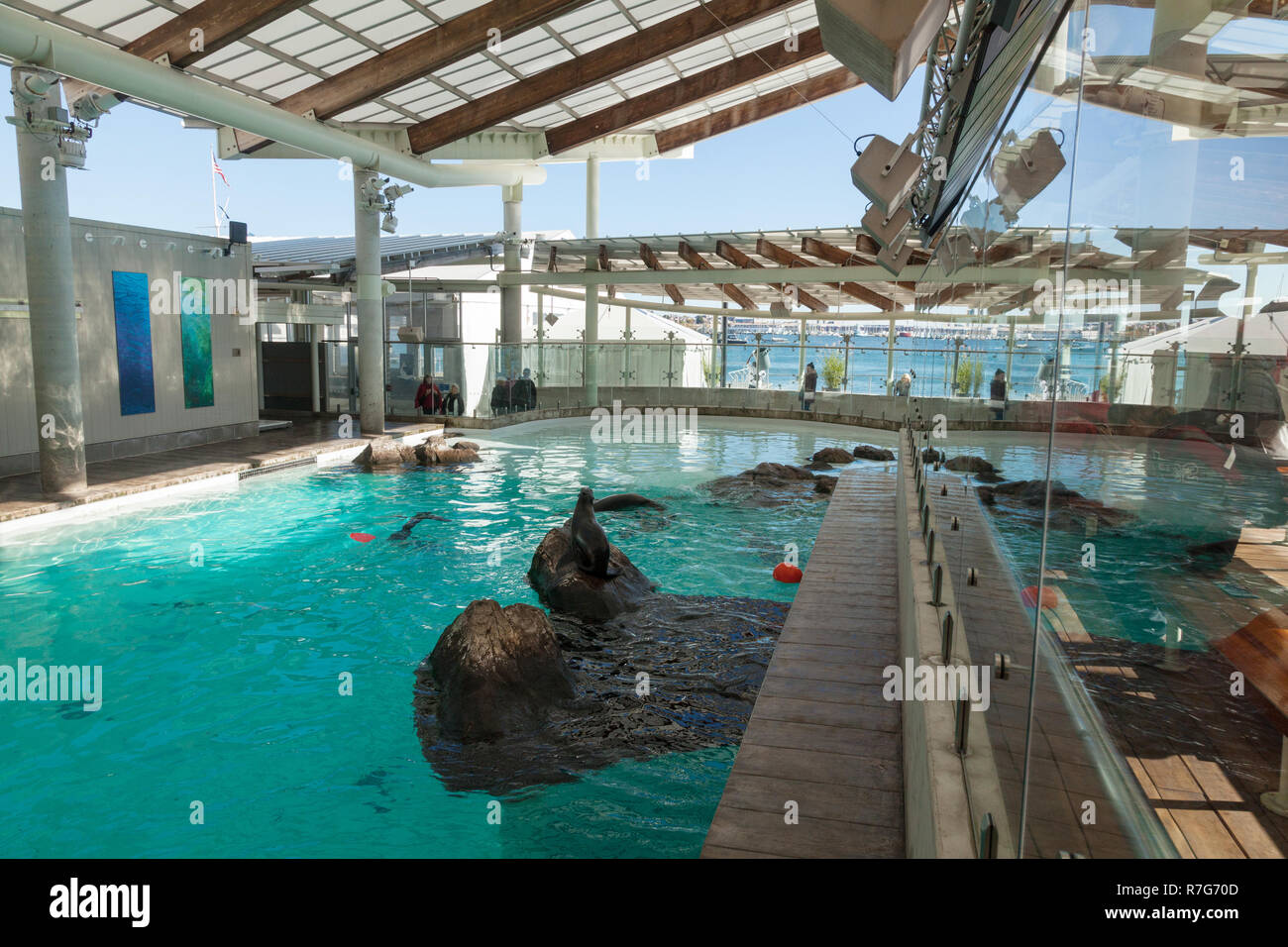 New England Aquarium, Boston ,Massachusetts, United States of America ... - New EnglanD Aquarium Boston Massachusetts UniteD States Of America R7G70D