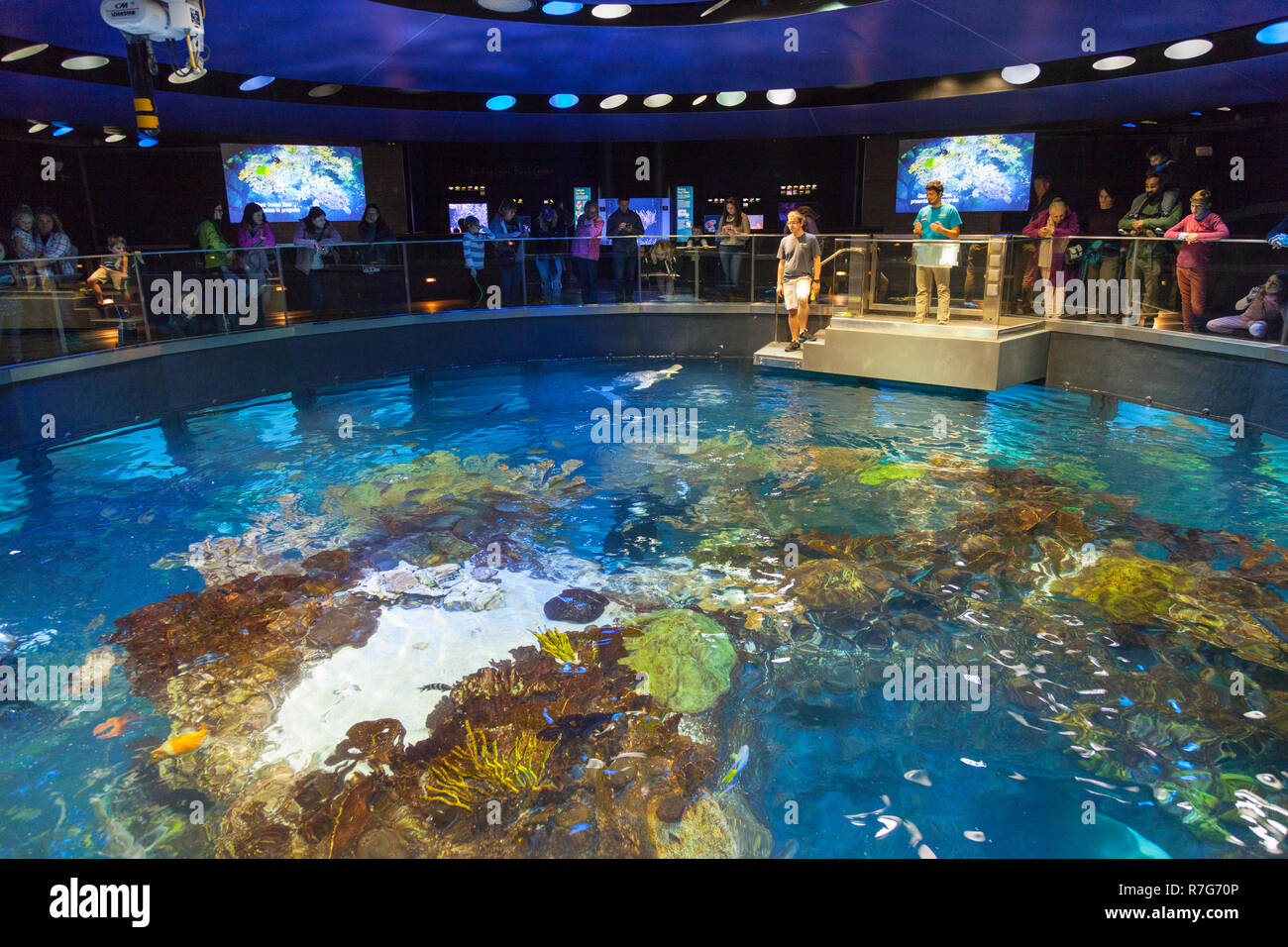 New England Aquarium, Boston ,Massachusetts, United States of America ...
