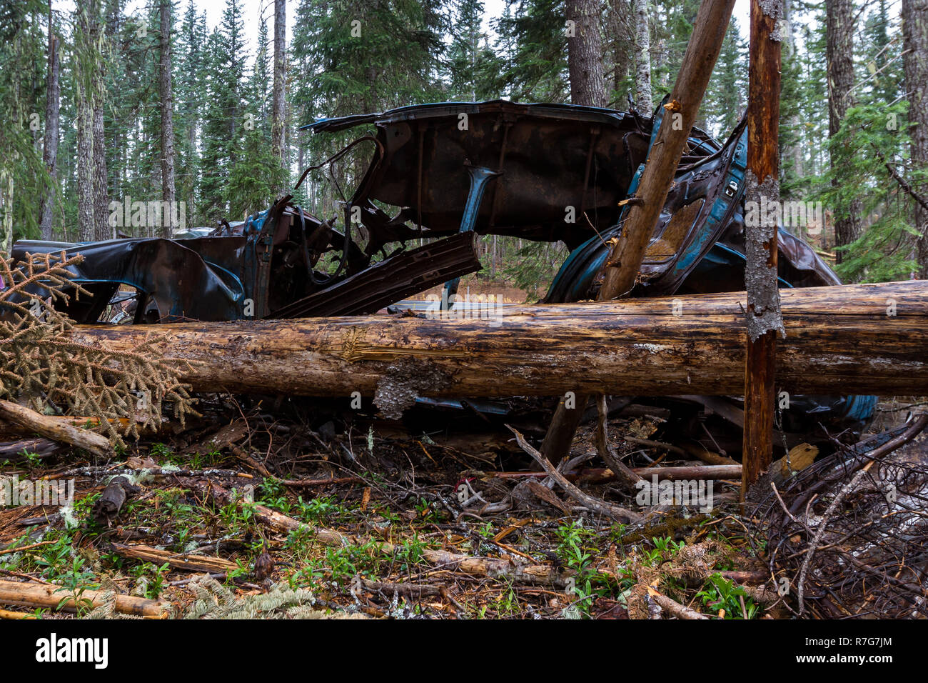 Accident car in the woods hi-res stock photography and images - Alamy