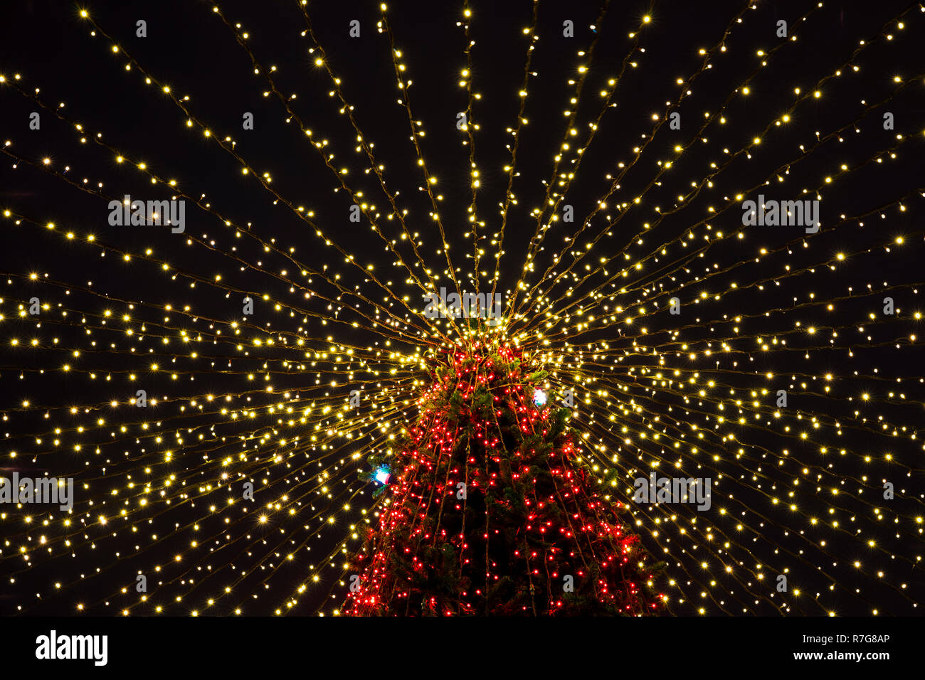 Illuminated Christmass tree Stock Photo