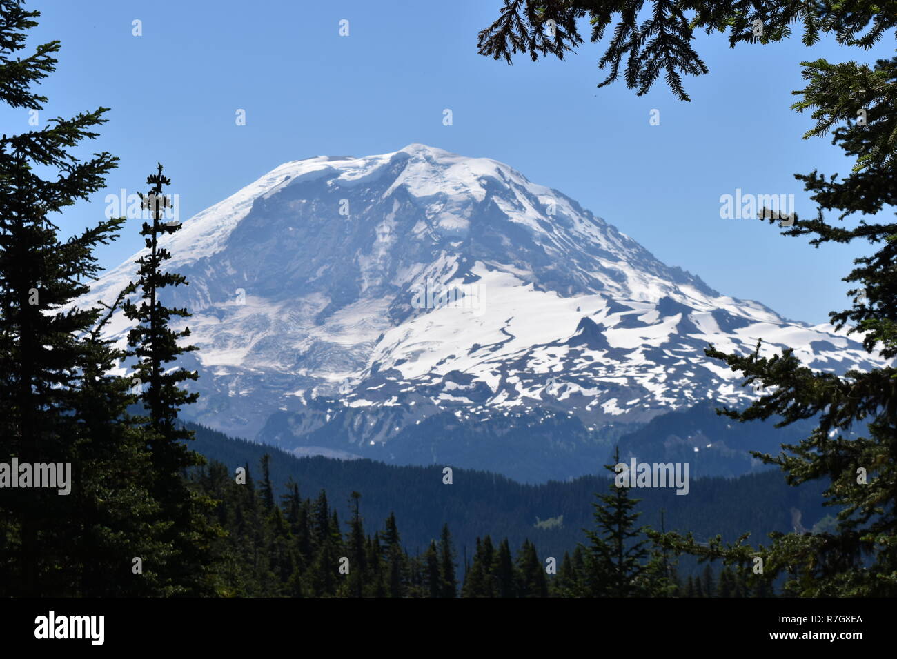 Scenic view of Mt. Rainer from Bearhead Trail in Carbonado, Washington