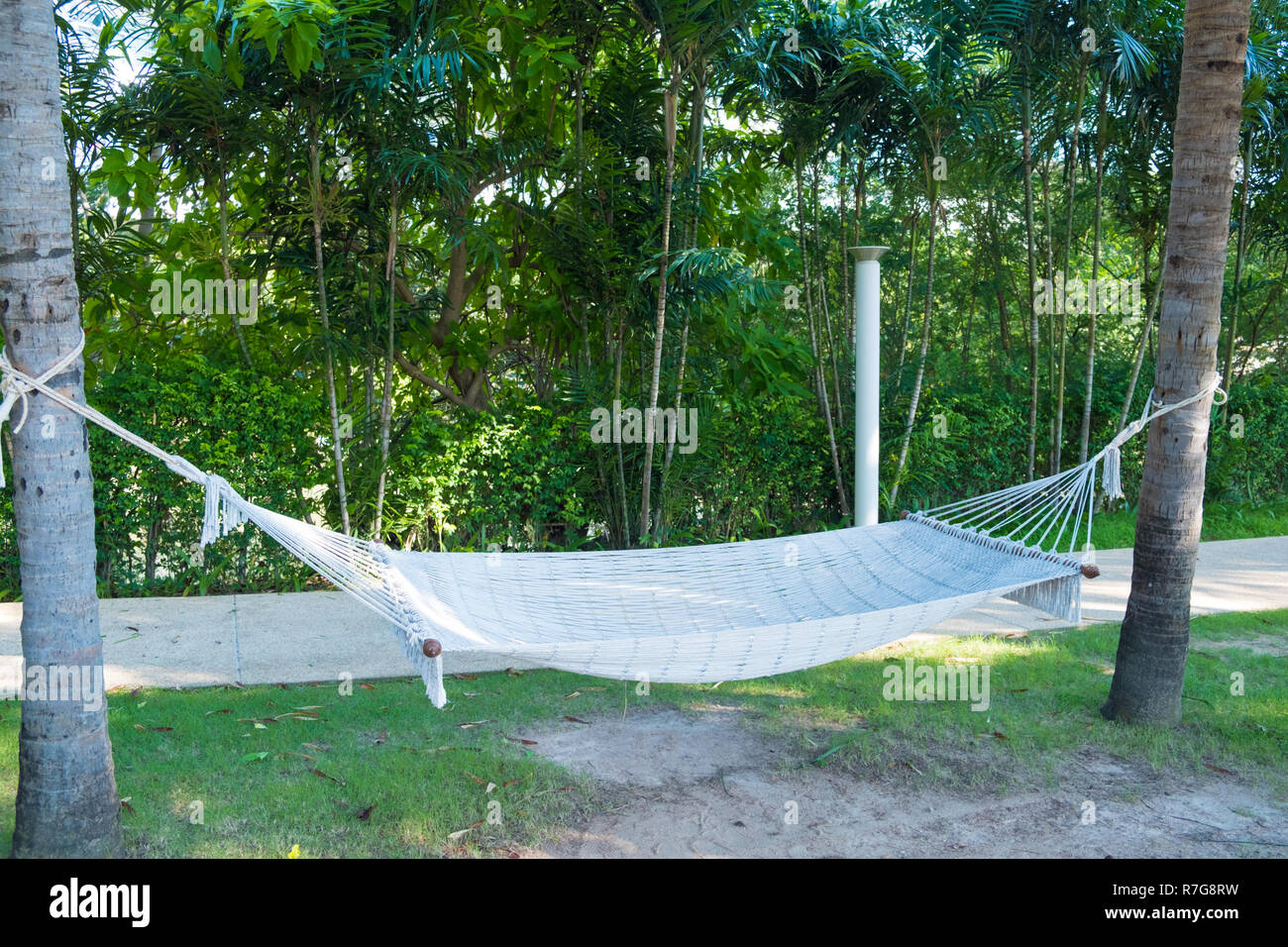 bed hanging between two trees