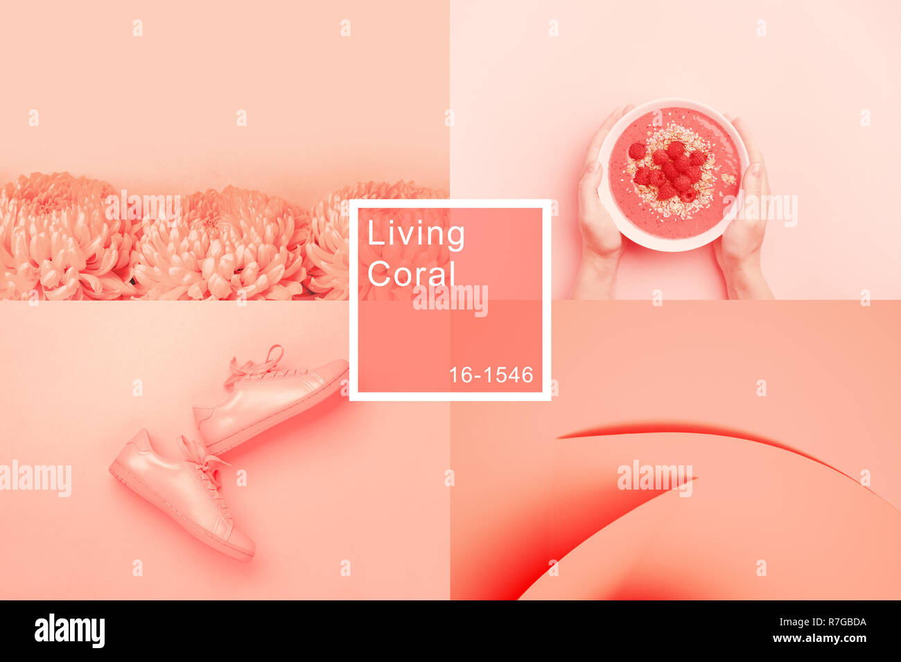 Collage made of four photos in trendy living coral color. Trendy color of the 2019: Living Coral. Stock Photo