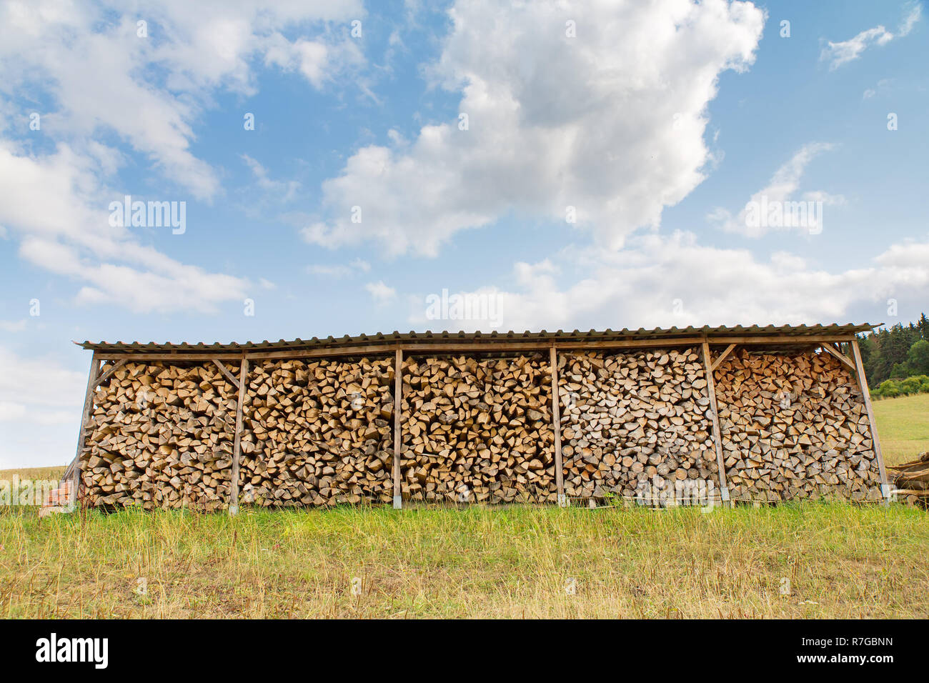 Shelter in Germany with many felled tree trunks for the stove Stock Photo
