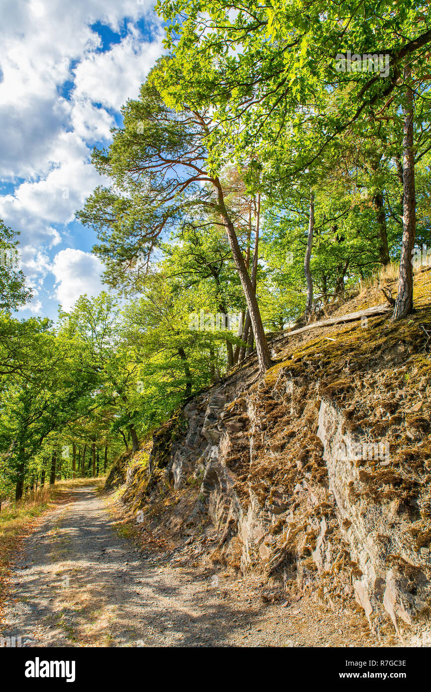 footpath along rock with trees in Sauerland  forest in germany Stock Photo