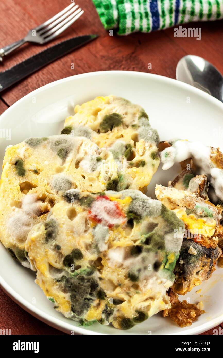 Unhealthy moldy food on a plate. Poisoned food. Dangerous lunch
