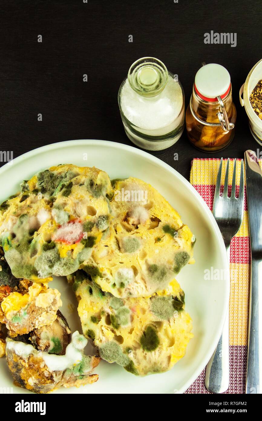 Unhealthy moldy food on a plate. Poisoned food. Dangerous lunch
